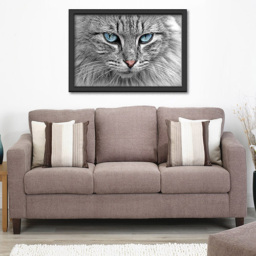 Quadros com Fotos - Gato olhos azuis